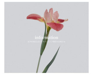 SUWDEE公式オンラインストア 閉店のお知らせ